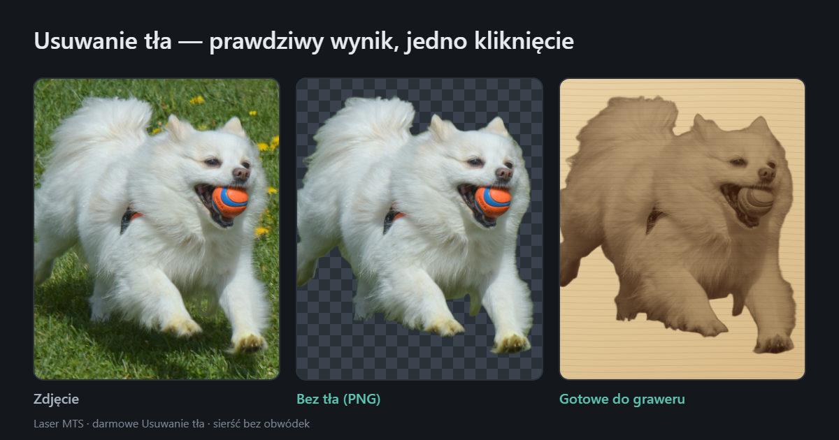 To samo zdjęcie białego psa z piłką w trzech wersjach: na trawie, bez tła na przezroczystym tle i jako grawer na jasnej sklejce